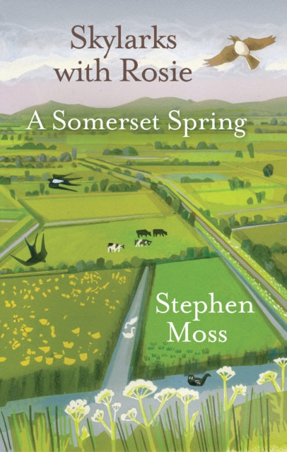 Skylarks With Rosie A Somerset Spring