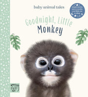 Goodnight Little Monkey