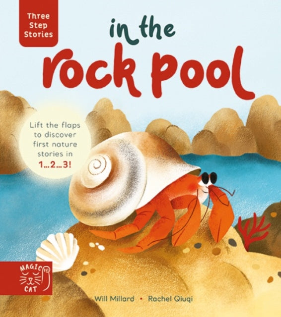 Three Step Stories In The Rock Pool