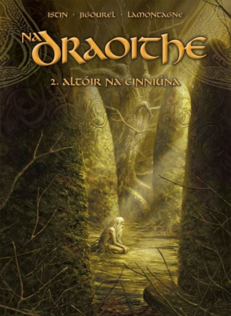 Na Draoithe 2 Altir Na Cinnina