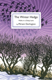 Winter Hedge