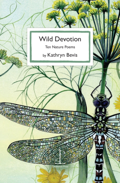 Wild Devotion By Bevis, Kathryn