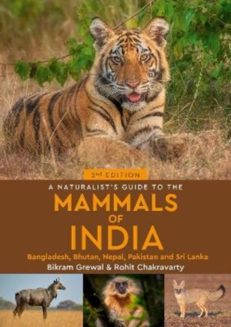 Mammals Of India