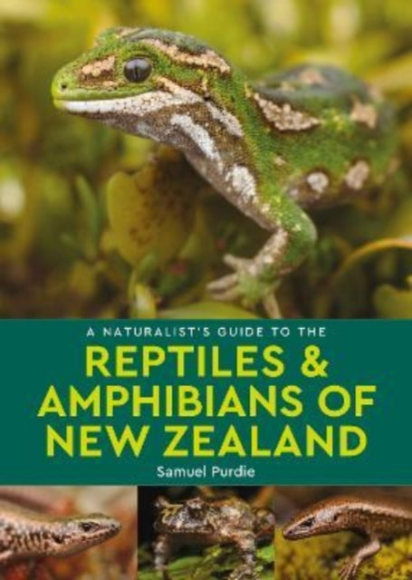 Reptiles & Amphibians Of New Zealand By Purdie,samuel
