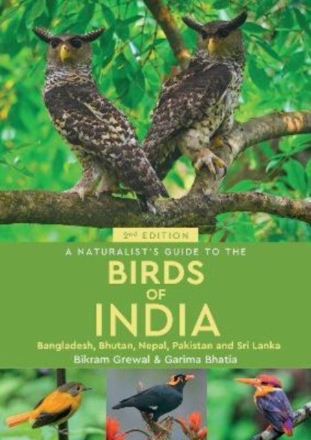 Birds Of India