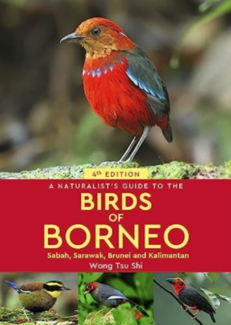 Naturalists Guide To The Birds Of Borneo By Tsu Shi, Wong
