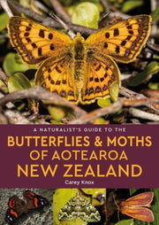 Butterflies & Moths/aotearoa New Zealand By Knox, Carey