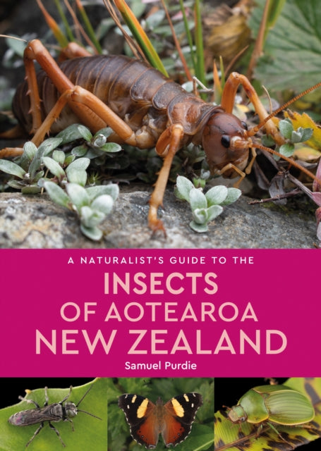 Naturalists Guide To Insects Of Aotearoa By Wong, Tsu Shi