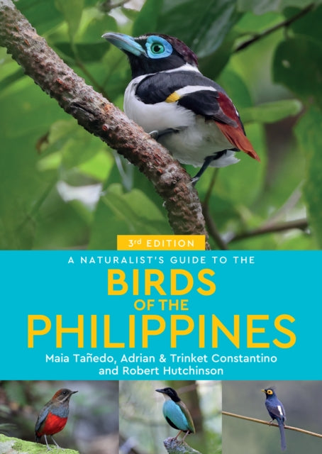 Birds Of The Philippines