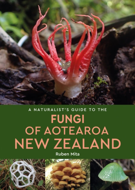 Fungi Of Aotearoa New Zealand