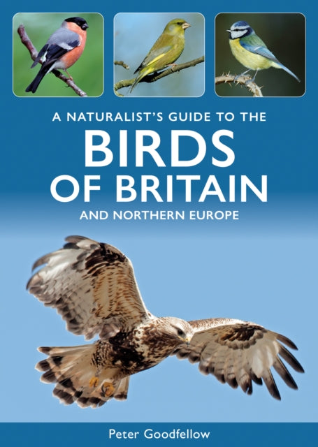 Birds Of Britain & Northern Europe