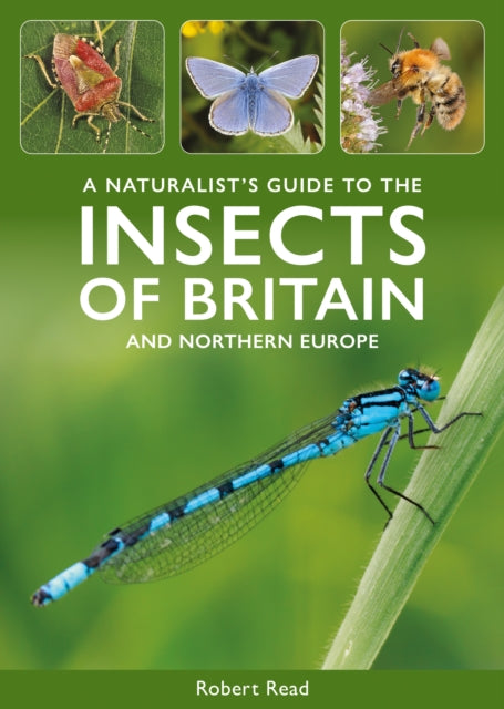 Insects Of Great Britain/northern Europe By Read, Robert