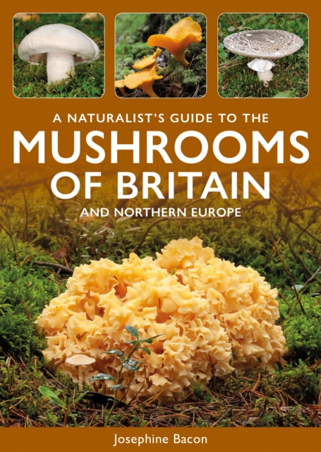 Mushrooms Of Britain & Northern Europe