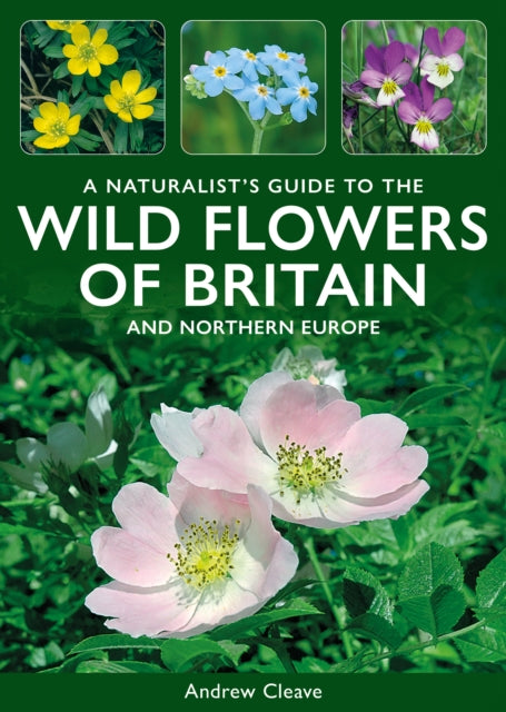 Wild Flowers Of Britain/northern Europe By Cleave, Andrew