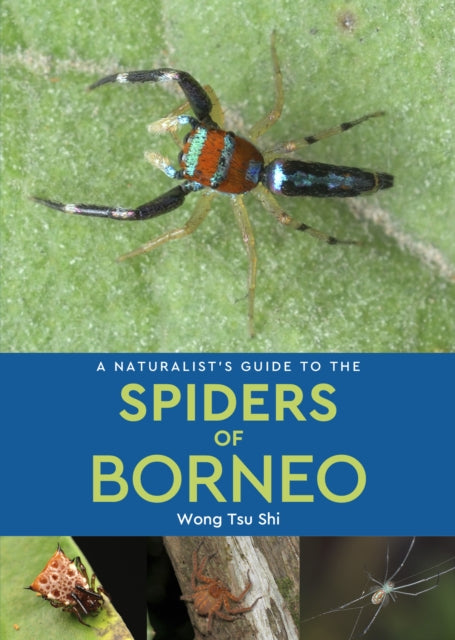 Naturalists Guide To The Spiders Of Born By Wong, Tsu Shi