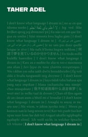 I Dont Know What Language I Dream In