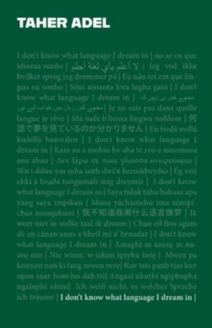 I Dont Know What Language I Dream In