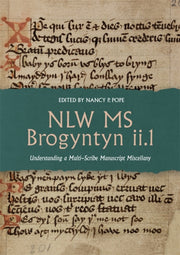 Nlw Ms Brogyntyn Ii.1: Understanding A M