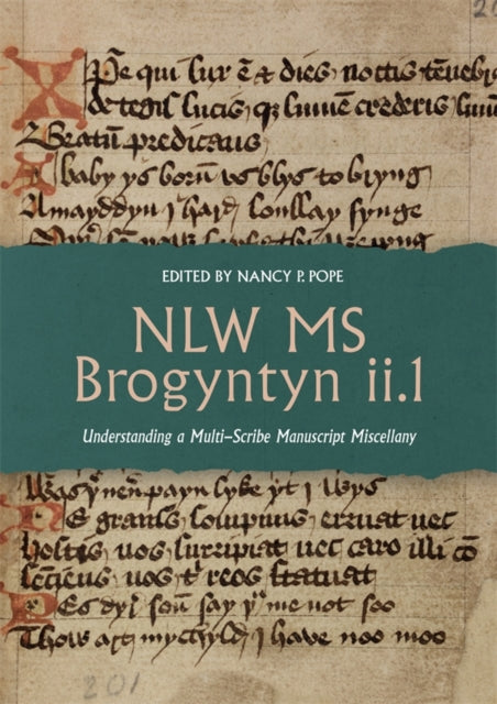 Nlw Ms Brogyntyn Ii.1: Understanding A M
