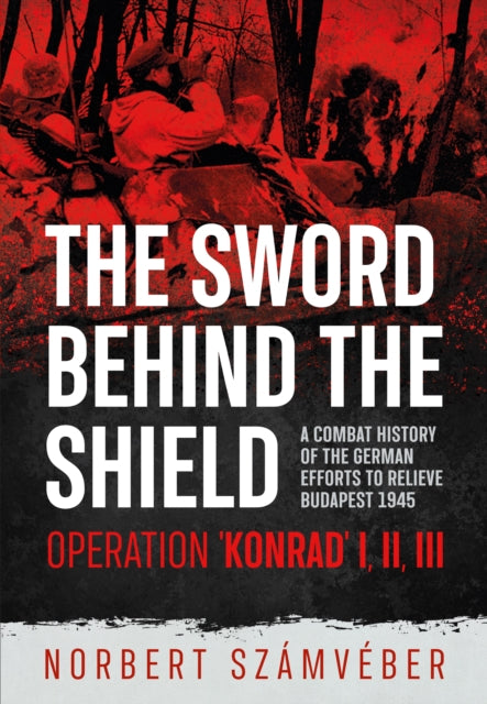 Sword Behind The Shield