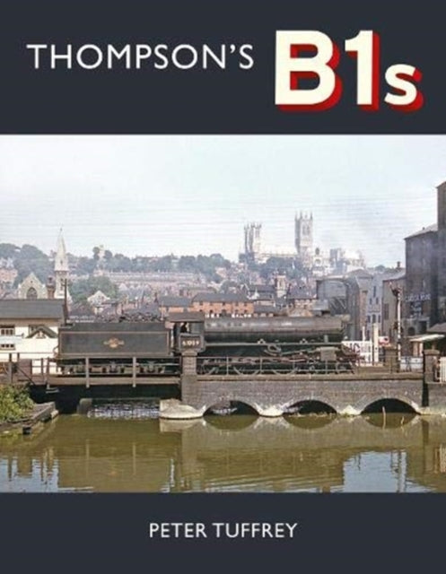 Thompsons B1s