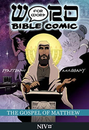 Gospel Of Matthew By Simon Amadeus Pillario