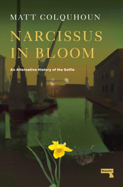 Narcissus In Bloom