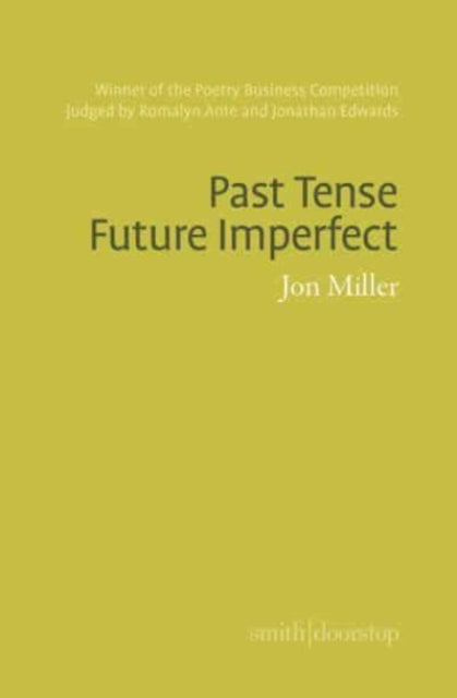 Past Imperfect Future Tense