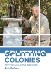 Splitting Colonies For The Small-scale B