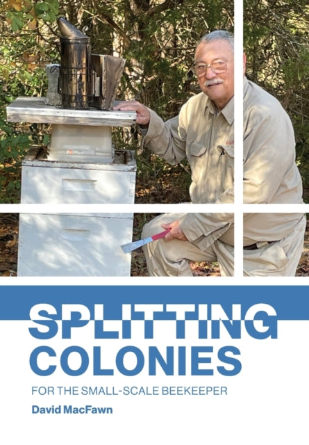 Splitting Colonies For The Small-scale B
