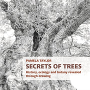 Secrets Of Trees