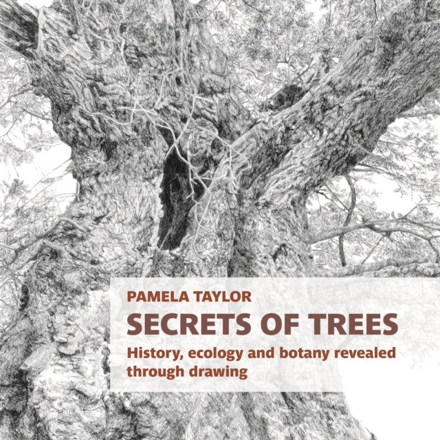 Secrets Of Trees