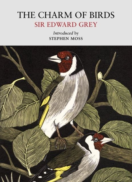 Charm Of Birds The