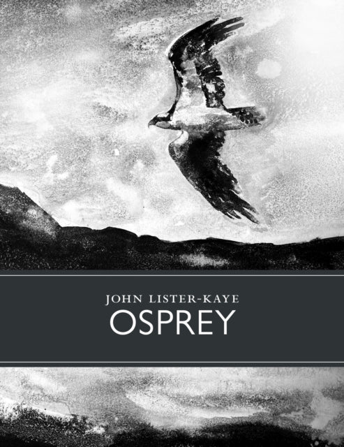 Osprey By Lister-kaye, John