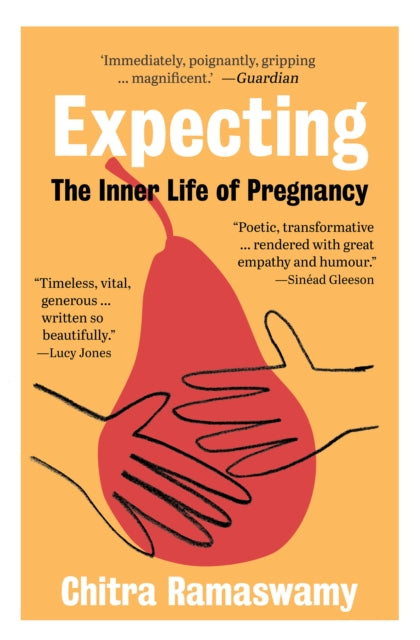 Expecting The Inner Life Of Pregnancy By Ramaswamy, Chitra