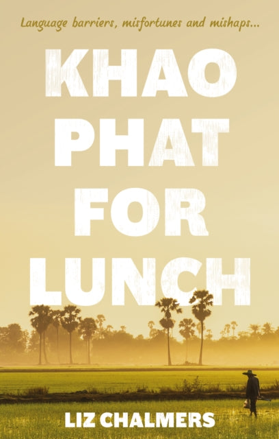 Khao Phat For Lunch
