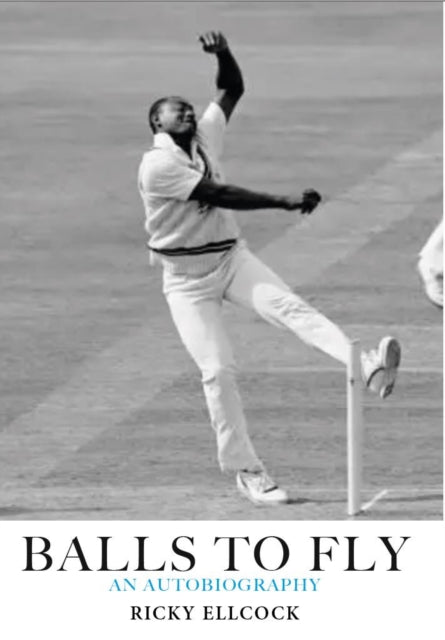 Balls To Fly