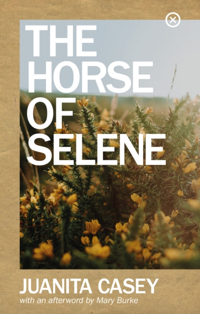 Horse Of Selene
