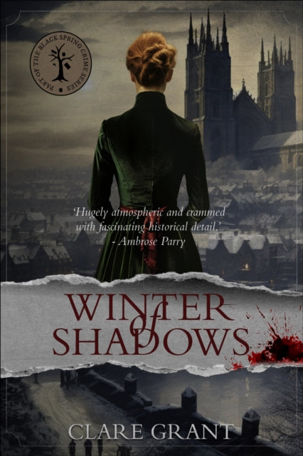 Winter Of Shadows The