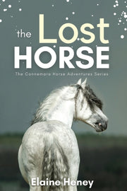 The Lost Horse - Book 6 In The Connemara