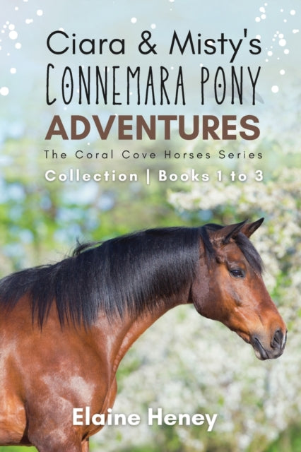 Ciara   Misty's Connemara Pony Adventure