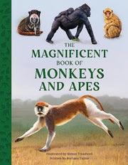 Magnificent Book Of Monkeys & Apes