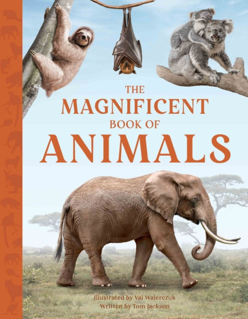 Magnificent Book Of Animals
