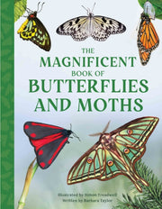 Magnificent Book Of Butterflies & Moths By Taylor, Barbara
