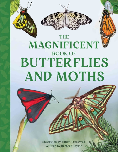 Magnificent Book Of Butterflies & Moths