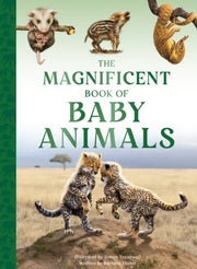 Magnificent Book Of Baby Animals By Taylor, Barbara