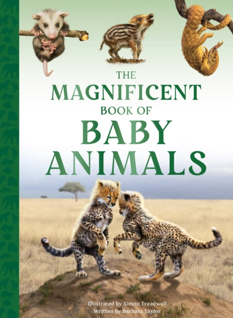 Magnificent Book Of Baby Animals