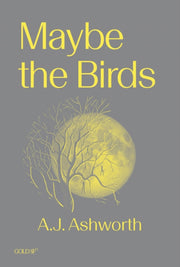 Maybe The Birds By Ashworth, A J