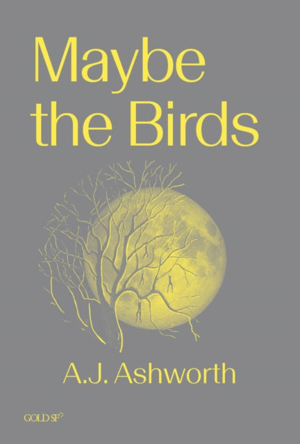 Maybe The Birds By Ashworth, A J