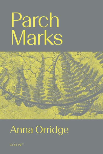 Parch Marks By Orridge, Anna
